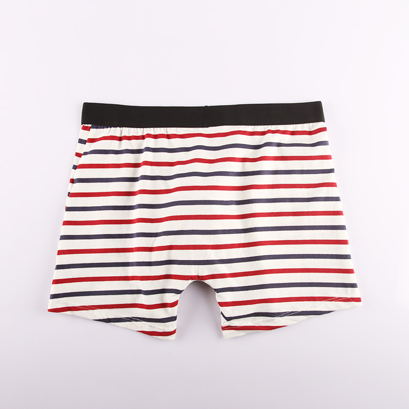 Mens Nice Striped boxer (27)