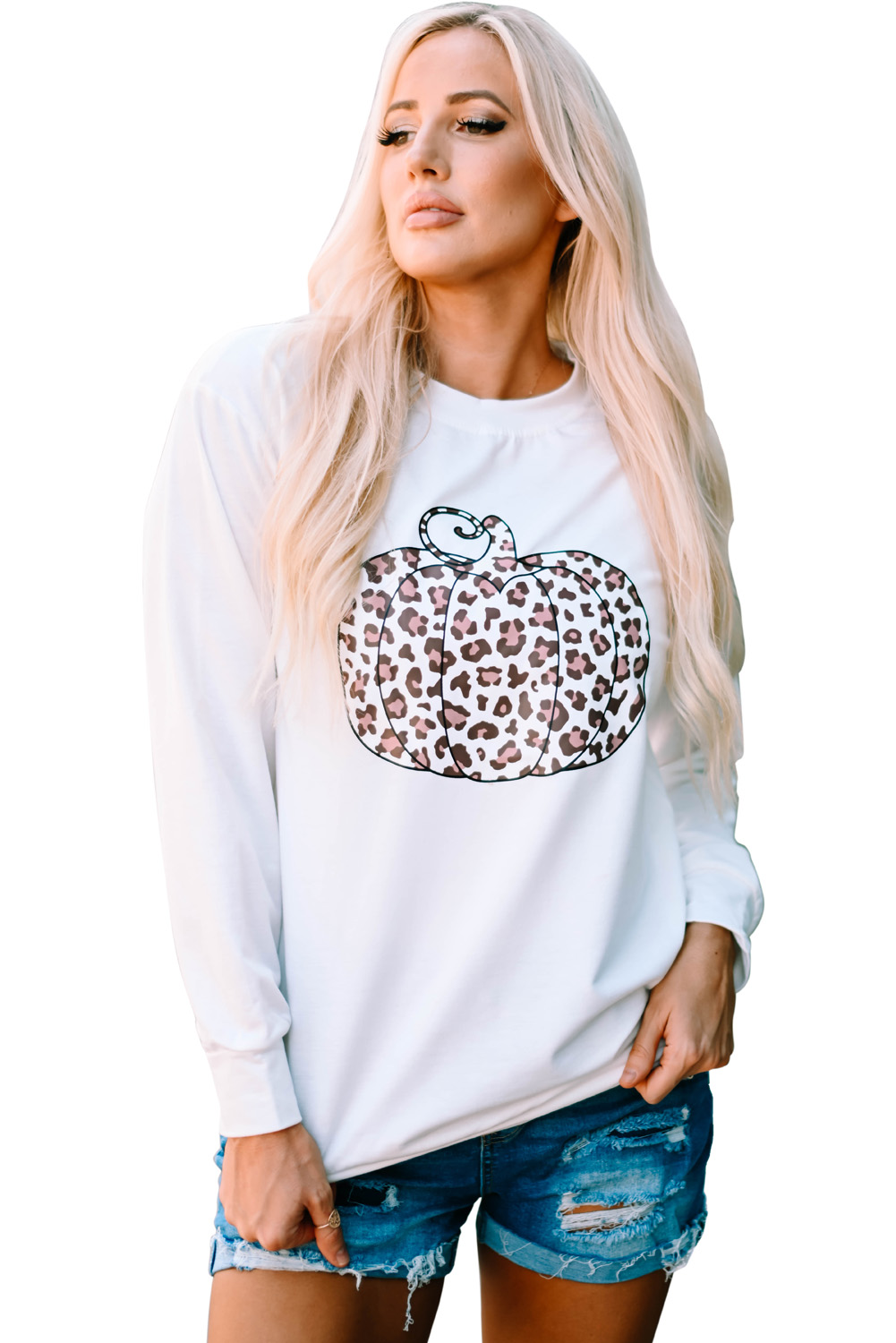 Stockpapa Stock Apparel Ladies Print Pullovers