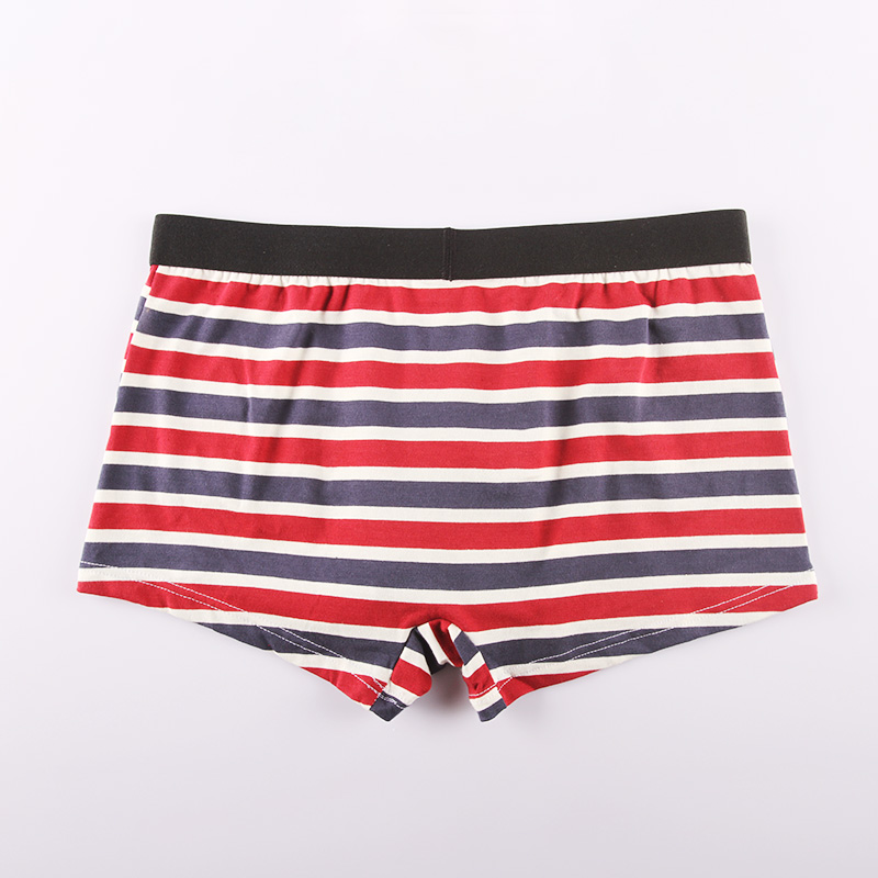 Mens Nice Striped boxer (16)