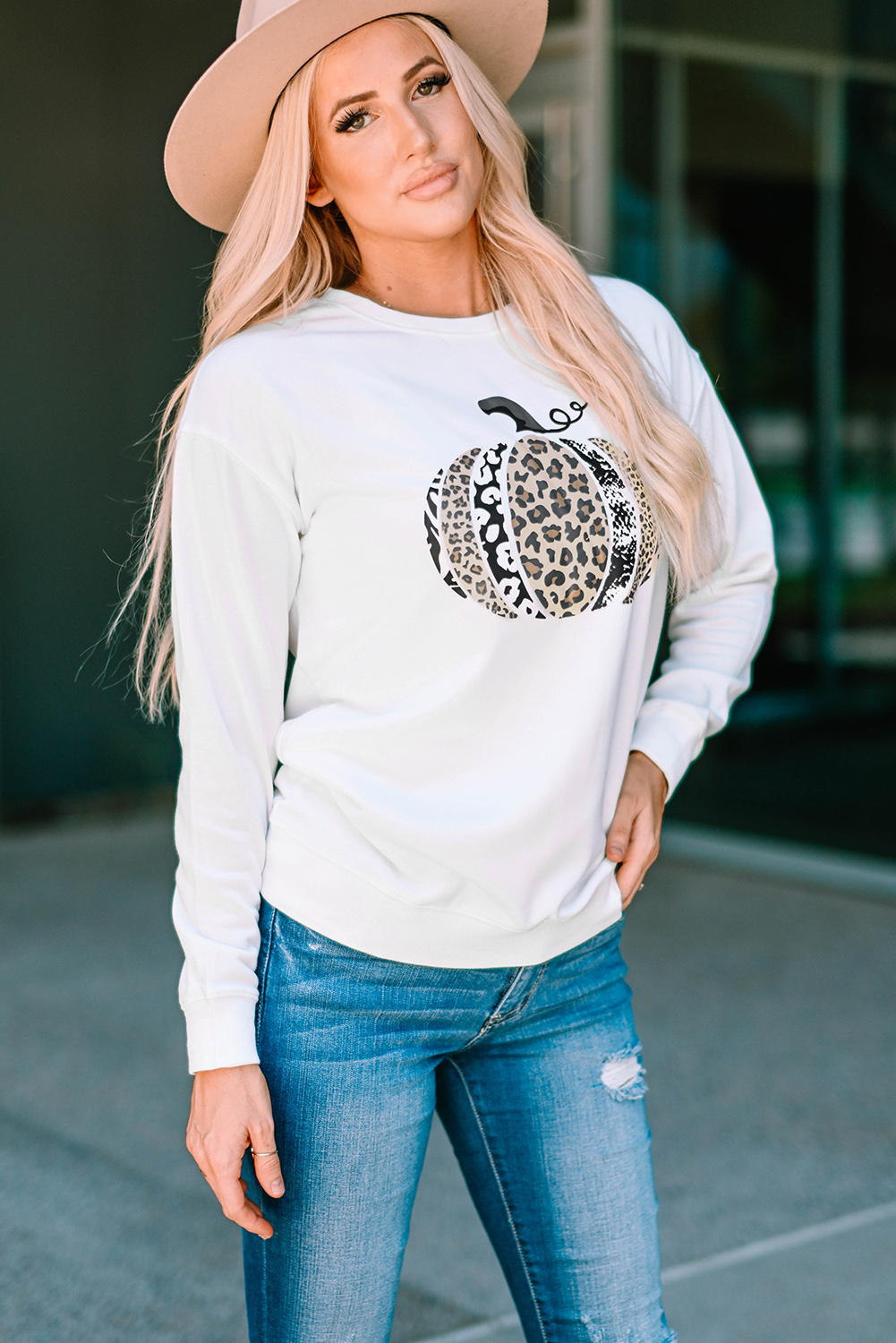 Stockpapa Stocklots Animal Print Ladies Pullovers