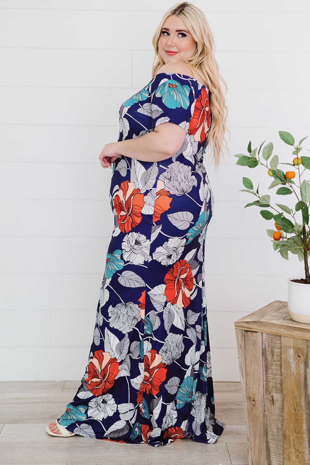 Plus size Maxi print dress (16)