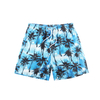  Men's 100 Different Print Color Board Shorts , SP17255-JH