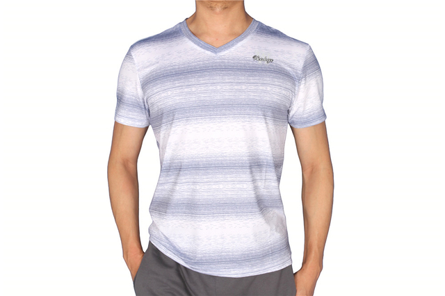 Men's Striped V-Neck T-Shirt